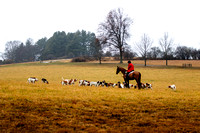 Millbrook_2024_11_28
