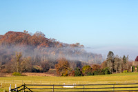 2024.10.31_bald eagles